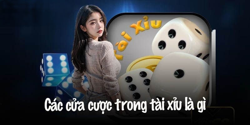 Các cửa cược với tỷ lệ thưởng cao đang chờ hội viên tham gia