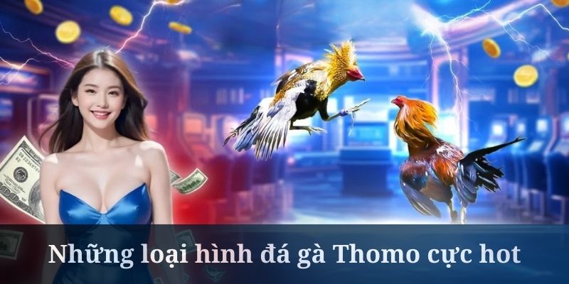 Đá gà trực tiếp Thomo quy tụ nhiều loại hình cực hot