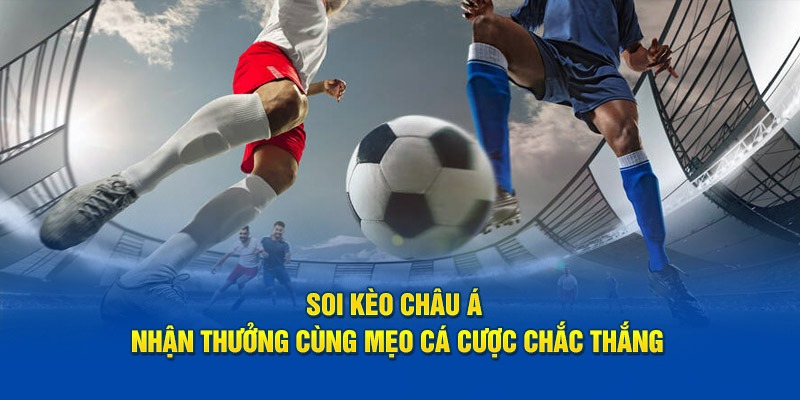 Tìm hiểu về thông tin đội bóng là cách chơi kèo châu Á tốt nhất