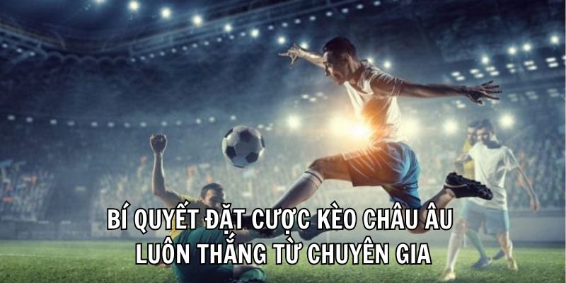 Những lời khuyên hay ho hỗ trợ cược thủ giải trí hiệu quả tại Kubet11